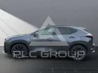 2024 Lexus NX450