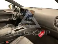 2024 Lexus NX450