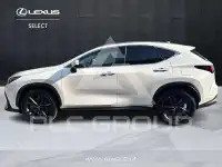 2024 Lexus NX450