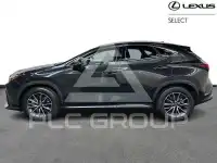 2024 Lexus NX450