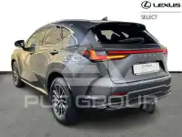 2024 Lexus NX450