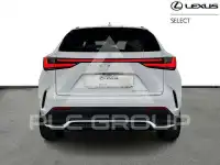2024 Lexus NX450