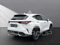 2024 Lexus NX450