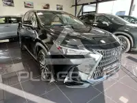2024 Lexus NX450