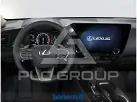 2024 Lexus NX450