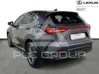 2024 Lexus NX450