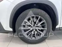 2024 Lexus NX200T