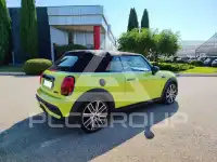 2024 Mini Unknown