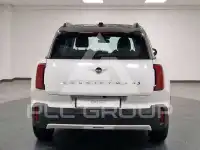 2024 Mini Unknown