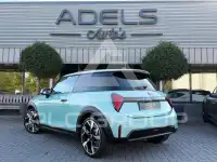 2024 Mini Unknown