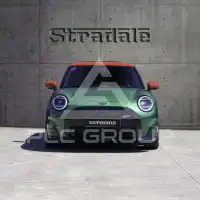 2024 Mini Unknown