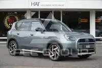 2024 Mini Unknown