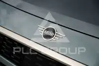 2024 Mini Unknown