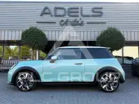 2024 Mini Unknown