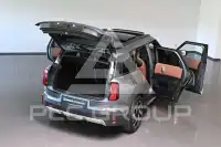 2024 Mini Unknown