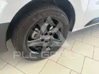 2024 Peugeot Traveller
