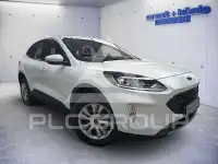 2024 Ford Kuga