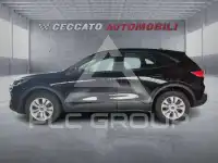 2024 Ford Kuga