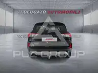 2024 Ford Kuga