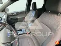 2024 Ford Kuga