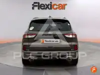 2024 Ford Kuga