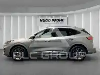 2024 Ford Kuga