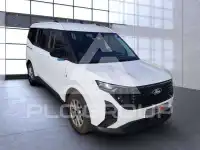 2024 Ford Tourneo