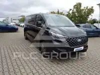 2025 Ford Tourneo