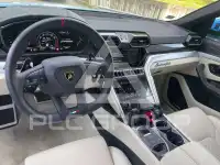 2024 Lamborghini Urus