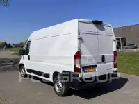 2024 Opel Movano