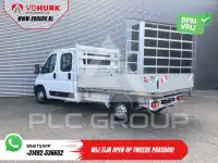 2024 Opel Movano