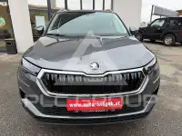 2026 Skoda Karoq