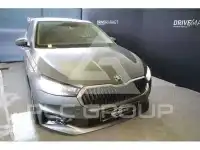 2025 Skoda Fabia