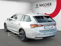 2025 Skoda Octavia