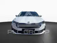 2025 Skoda Octavia