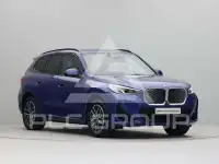 2025 BMW iX
