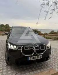 2025 BMW X3