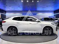 2025 BMW X2