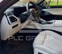 2025 BMW X6