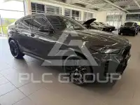 2025 BMW X6