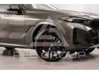 2025 BMW X6