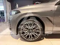 2025 BMW X6