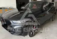 2025 BMW X6