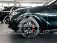 2025 BMW X6
