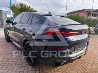 2025 BMW X6