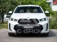 2025 BMW X6
