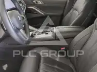 2025 BMW X6