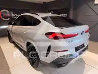 2025 BMW X6