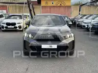 2025 BMW X6