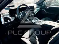 2025 BMW X6
